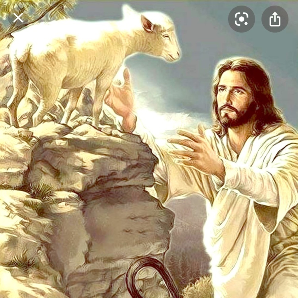 💫God has not forsaken you🙌🏽